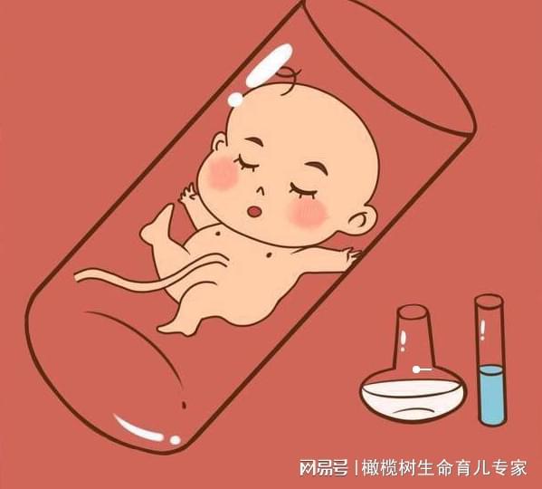 第三试管婴儿
