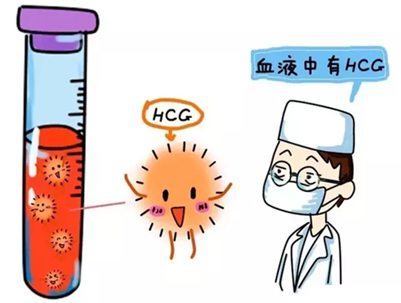 第五代试管婴儿